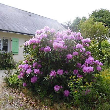 Le Pre De La Lande Bed & Breakfast La Chapelle-Sur-Erdre Exterior photo